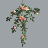 Bulk 20 Inch Artificial Rose Rattan Hanging Vine Flower Wholesale